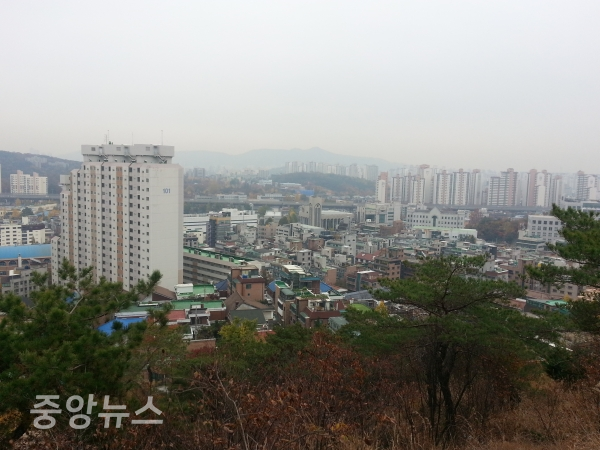 서울 서대문 안산에서 내려다본 아파트 지역. (사진=김수영 기자)