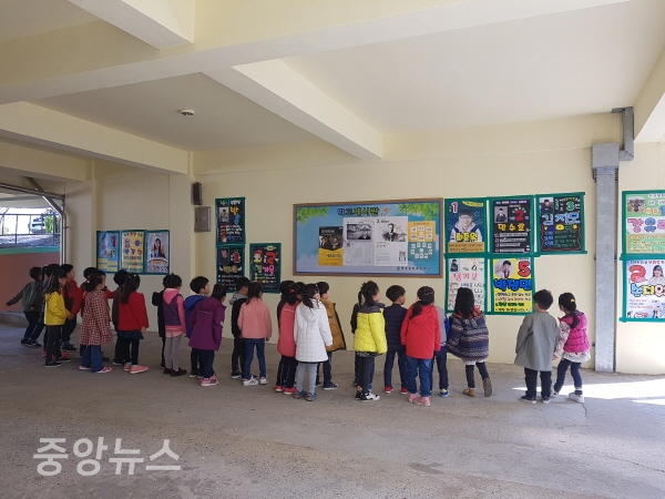 1학기 전교어린이회 임원 선거(사진=영천시 제공)