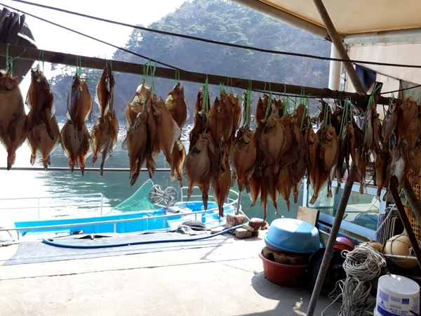 '심곡 바다 부채길'에서 만나는 지역 어민들의 생선 시장(사진=신현지 기자)
