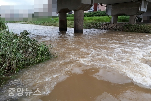 장마철 쌓인 토사로 물의 유속이 약한  한강 부근의 배수로(사진=신현지 기자)
