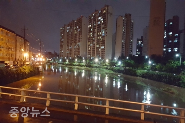 지난밤 내린 폭우에 안양천의 수위가  위험에 가깝게 올라섰다. (사진=신현지 기자)
