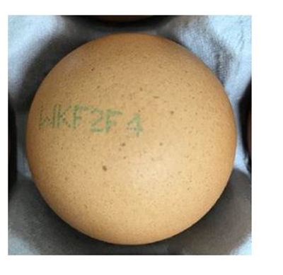 계란 표면에 난각코드 'WKF2F4'가 찍혀있다 (사진= 식품안정처 제공)