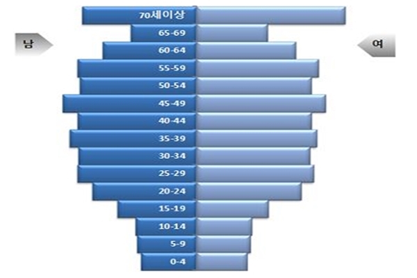2017년 인구구조형태 (자료=서울시 제공)