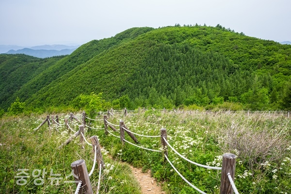 태백 대덕산 (사진=한국관광공사 제공)