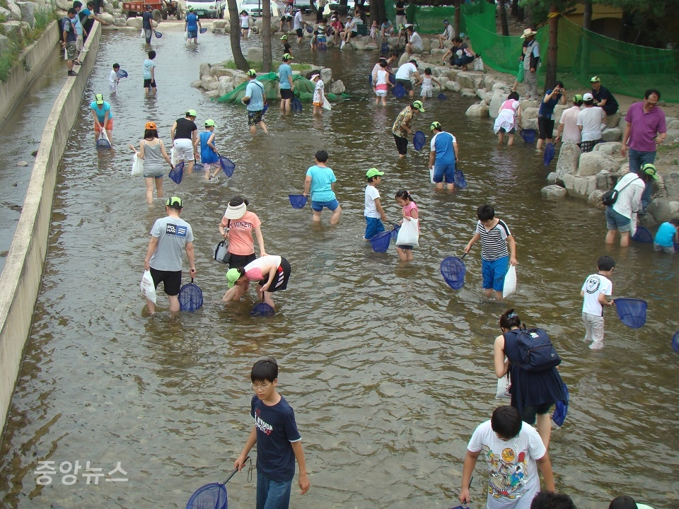 해담마을 물고기잡기 체험(사진=한국관광공사 제공)