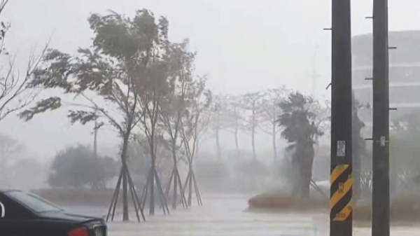 제 8호 태풍 프란시스코가 남부지방에 상륙해 많은 비를 뿌리고 동해로 빠져나가면서 소멸됐다.
