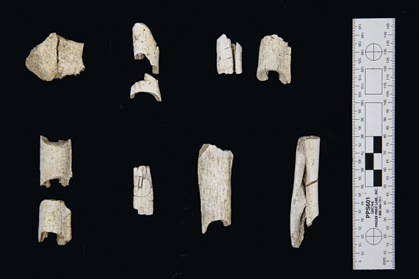 매장의례부에서 출토된 화장된 사람뼈 (사진=서울시 제공)