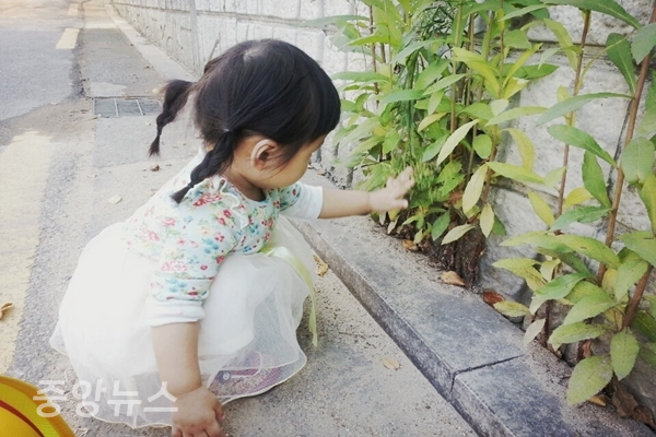 정부가 7세 미만 어린이에게 40만원 상당의 지역사랑상품권을 지급한다(사진=신현지 기자)