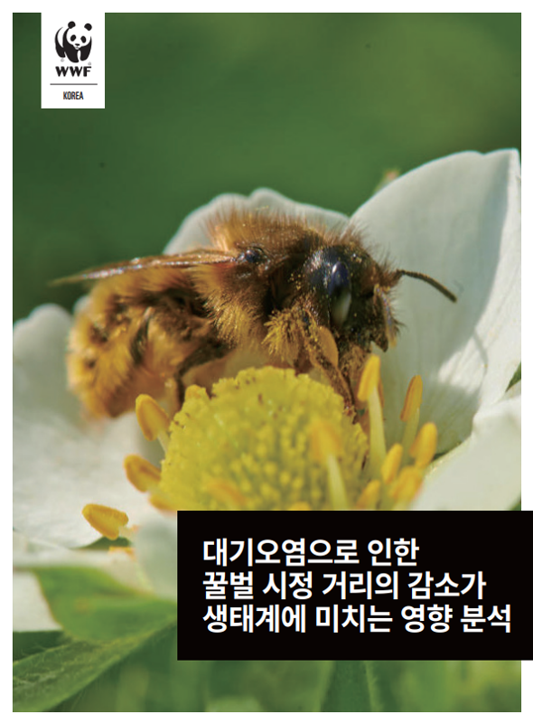 대기오염으로 인한 꿀벌 시정거리의 감소가 생태계에 미치는 영향 분석’ 보고서 표지 (제공=세계자연기금 한국본부)