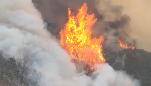 울산·경북·경남 지역에서 발생한 산불