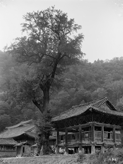 1917년 10월 16일 촬영한 금강산 장안사.(사진=산람청)