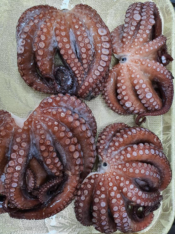 사진: 울릉도표 자연산 문어