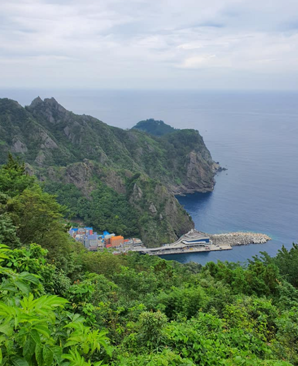 사진: 공중에서 바라본 울릉도 선착장