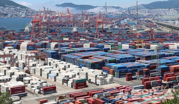 수출 선적을 기다리고 있는 부산 감만 부두 콘테이너.(자료사진=연합뉴스)