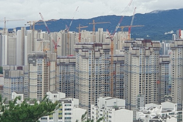 (사진=중앙뉴스DB)