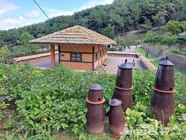 이 곳은 조선 왕조 연산군 유배지이다.