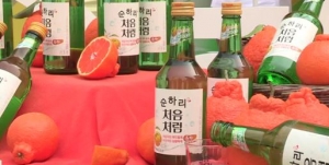 성인 40% 음주량 늘었다....도수 낮은 술 덕분에 성인 40% 음주량 늘었다....도수 낮은 술 덕분에